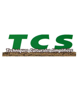Logo TCS