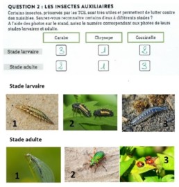 Non labour et semis direct 2018 - Réponse question 2